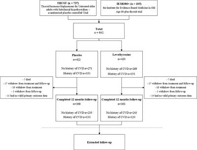 Levothyroxine Treatment and Cardiovascular Outcomes in Older People With Subclinical Hypothyroidism: Pooled Individual Results of Two Randomised Controlled Trials